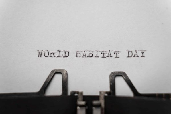 Comment organiser un espace de vie sécurisé pour un écureuil domestique ?