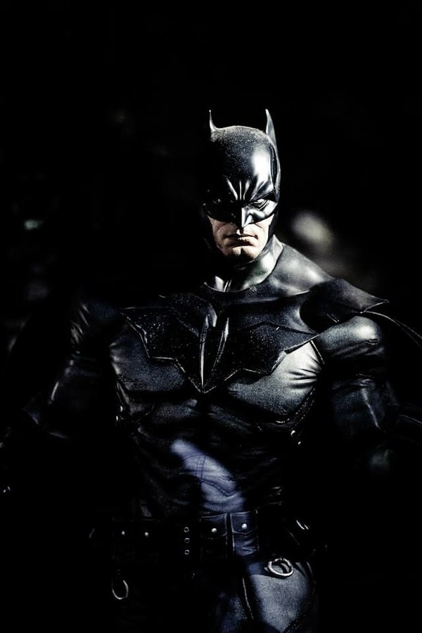 Comment mesurer le niveau de douleur chez un chat de race Birman souffrant après une chirurgie?